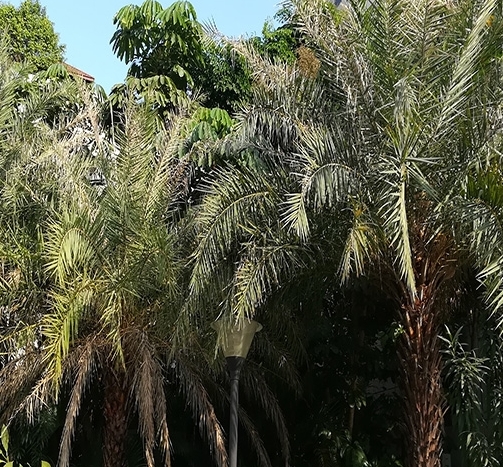 珠海白蚁防治 珠海白蚁防治