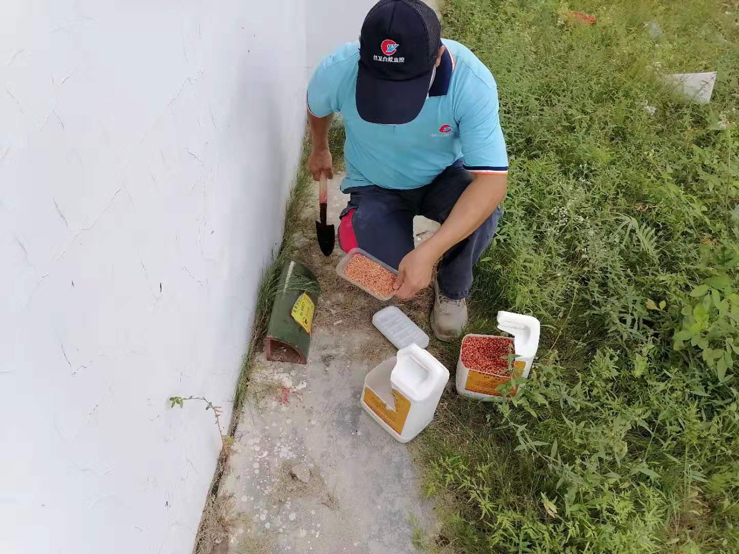 石歧正规有害生物防治电话