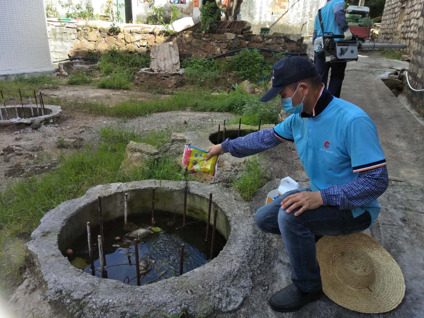 金鼎附近红火蚁防治收费标准