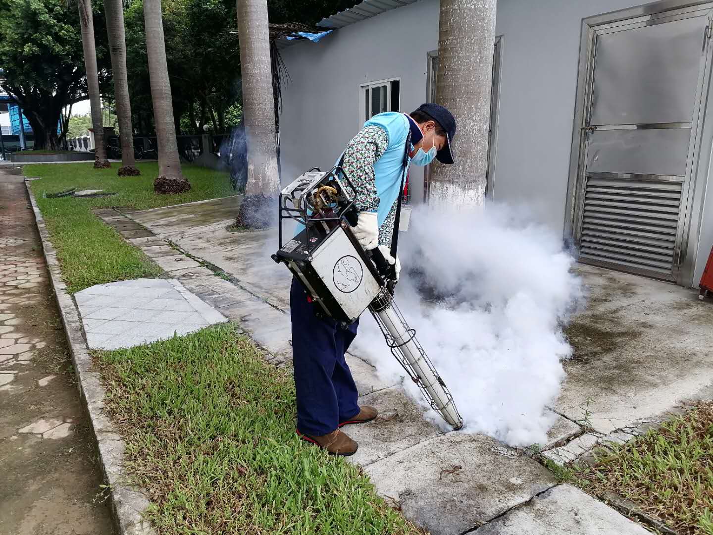 广州附近除四害价格